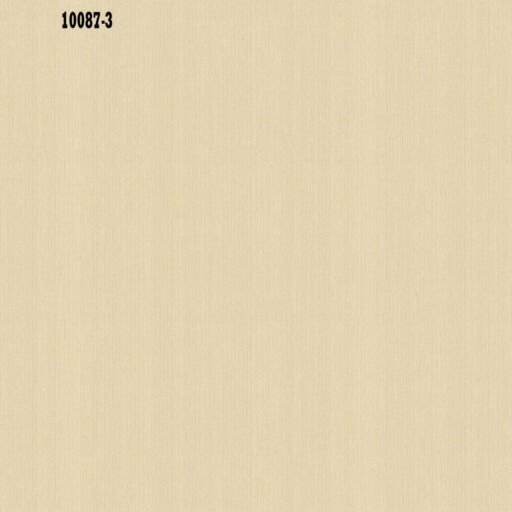 10087 - 3 - A
