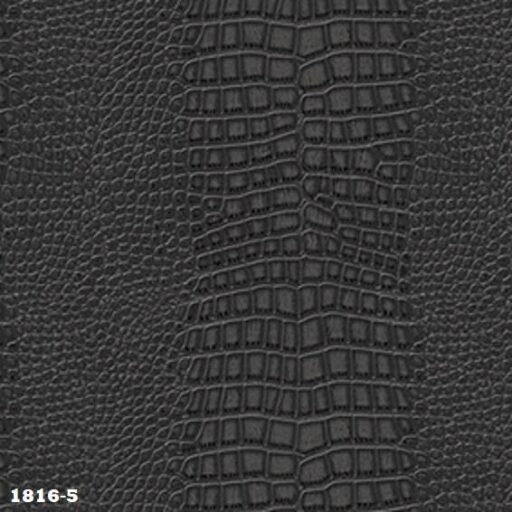 1816 - 5 - A