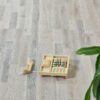 Parquet - Berlin - 3066