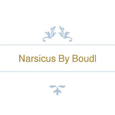 Narsicus By Boudl logo