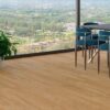 Terra-click-soft-JASOER-MESES-ny319
