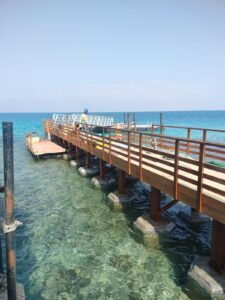 مشروع البحر الأحمر
