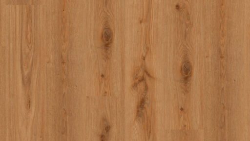 Essence-55---Primary-Oak-Natural3