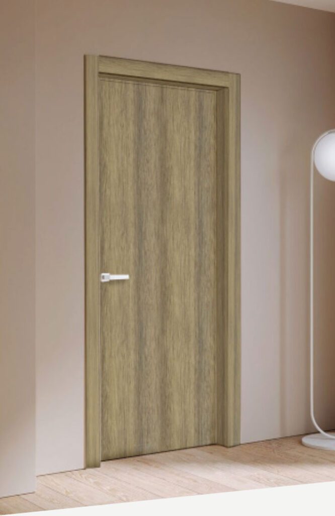 Door DS 1
